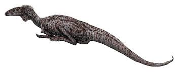The following is a list of dinosaurs.some of them, such as archaeopteryx, are considered to be birds.some doubtful mesozoic birds are included in this list. Dinosaur Prehistoric Animal A Z New Version