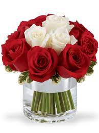 Il mazzo di rose rosse, intramontabile simbolo di amore e passione, rose rosa o rose bianche messaggio di sentimenti puri e amore sincero. Bouquet Di Rose Rosse E Rose Bianche Profumate A Domicilio