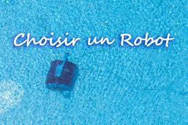 Choisir Un Robot De Piscine Provence 7