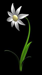 Pin On Flower Drawing