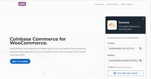Coinbase has established itself as one of the leading brands in the crypto exchange business. Use Bitcoin To Live Coinbase Api Payment 0 Confirmation Safe Equitalleres Launch Distribuitor Autorizado