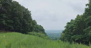 We did not find results for: Hiking Sourland Mountain Preserve