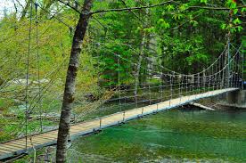 While they aren't for everyone, these bridges are absolutely awesome. Grove Of The Patriarchs Mt Rainier National Park Rainier National Park National Parks Favorite Places