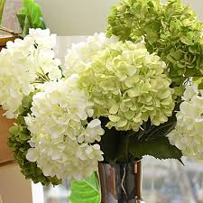 We did not find results for: Cheap Artificial Flowers Vases Online Artificial Flowers Vases For 2021
