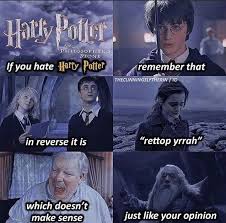 Harry potter memes definitely require some knowledge of harry potter. Harry Potter Memes If You Hate Harry Potter Wattpad