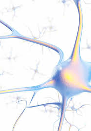 Memristor and Memristive Neural Networks
