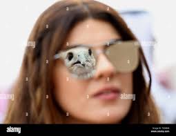 Woman with hawk hi-res stock photography and images