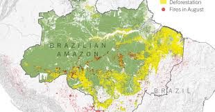 What Satellite Imagery Tells Us About The Amazon Rain Forest