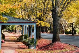 Everything Worth Eating Seeing And Doing In Daylesford Urban List Melbourne