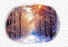 Home » resolutions » 1080×1920 wallpapers. Nature 1080p Winter Wallpaper Hd Hd Png Download Vhv
