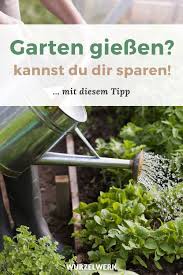 Keine Zeit Kein Problem 5 Tipps Fur Einen Pflegeleichten Gemusegarten Wurzelwerk In 2020 Gartenarbeit Fur Anfanger Gartenarten Gemusegarten Anlegen