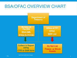 Bsa Aml Ofac Staff Training Ppt Download