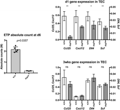 Perlengkapan kantor yang baik, akan memperlancar proses suatu pekerjaan sehingga pencapaian tujuan dapat dicapai secara efektif dan efisien. 2018 Cis Annual Meeting Immune Deficiency Dysregulation North American Conference Springerlink