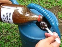 Use it as a fertilizer. Secret Fertilizer My Fertilizing Cocktail Consists Of Mixing 1 2 Bottle Of Cheap Beer 1 Tablespoon Of Epson Salts And 2 Tab Plants Garden Gardening Tips