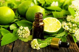 Image result for aromatherapy