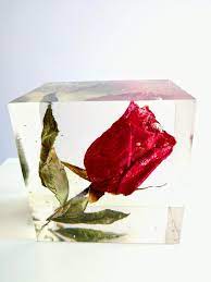 The glue turned the petals a little gray, but. Preserving Wedding Bridal Flowers Bouquet In Large Resin Cube Like Glass Paperweight Memories Of Your Wedding Anniversary Funeral Amazing Resin Bridal Bouquet Flowers Diy Resin Crafts
