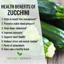 We did not find results for: Nature S Branch On Twitter Health Benefits Of Zucchini 3 Make Today A Zucchini Day Sharingiscaring Zucchini Vegan Healthylifestyle Healthyliving Healthbenefits Awareness Ilovezucchini Takecareofyourbody Health Healthy Naturesbranch