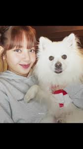 Merry Christmas Wishes from Lisa of Blackpink