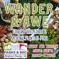 Wander & Awe - Foraging Wild Edible & Medicinal event image