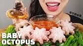 Resep sayur dan tumis brokoli. Octopus Asmr No Talking Mukbang Eating Sounds Korean ë¬¸ì´ë¨¹ë°© Youtube