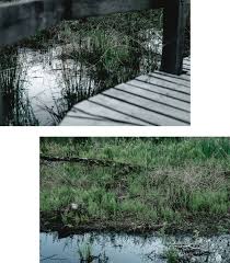 Der glv teufelsmoor plant die sanierung eines ca. Ferien In Berlin Teufelssee Und Muggelturm Andysparkles De