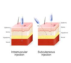 Image result for Subcutaneous Injection