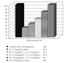 Image result for Hibiscus aethiopicus