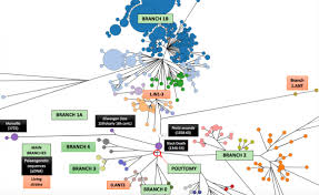 Putting Africa On The Black Death Map Narratives From