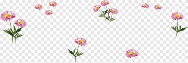A photo of a very beautiful. Common Daisy Flower Food Bouquet Garni Winter Flower Purple Winter Png Pngegg