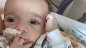 Fundraiser by Benjamin Daigle : Asher Benjamin Daigle Family Fund