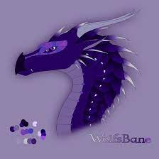 My Oc Form Wings Of Fire Dragon Name Wolfsbane Male Tribe Nightwing Rainwing Hybrid His Father Parrot Throu Wings Of Fire Wings Of Fire Dragons Fire Dragon