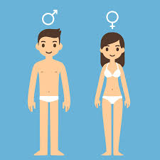 Hambre de redes sociales y dibujos. Hombre De Dibujos Animados Lindo Y De La Mujer En Ropa Interior Con Hombres Y Mujeres Simbolos Anteriores Ilustraciones Vectoriales Clip Art Vectorizado Libre De Derechos Image 41127316