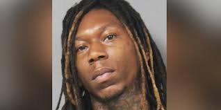 Benton Harbor man takes plea deal in shooting death of girlfriend