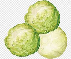 Kertas lazimnya kerap dipakai dalam membuat beragam kerajinan tangan dikarenakan teksturnya yang ringan untuk dibentuk dan biayanya yang tergolong murah. Kubis Brussel Sayuran Kubis Bahan Lobak Bahan Png Sayur Daun Makanan Png Pngwing