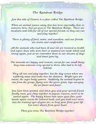 Bridge pictures give you a glimpse of some of the most amazing engineering accomplishments. Rainbow Bridge Poem Digital Download Pet Loss Pet Sympathy Etsy