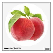 Two Pink Peaches Wall Decal Zazzle Com In 2021 Peach Peach Walls Beautiful Fruits