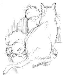 Daily Sketch After Dinner Animal Drawings Cat Drawing Cat Artwork