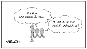 We find the best videos porno everyday. Blague Orthographe Blagues Et Dessins