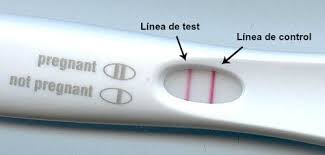 We did not find results for: Como Interpretar Un Test De Embarazo
