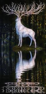 Debra Hieb (debihiebtnt)