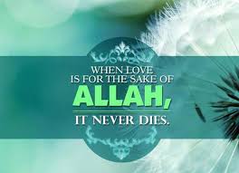 Image result for Allah sake