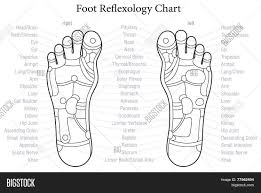 Reflexology Charts Free Sada Margarethaydon Com