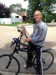 It's time for us take a. 20 Buddyrider Dog Bike Seat Ideas Dog Bike Seat Bike Seat Bicycle Seats