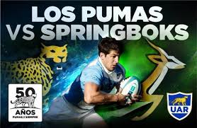 The rugby championship, 19 august, 2018. Stats Springboks Vs Argentina By Numbers