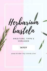 Herbarium Anlegen Basteln Gestalten Mit Kindern Kita Grundschule Unterricht Vorlagen Anleitung In 2020 Basteln Bastelideen Kinder Gestalten