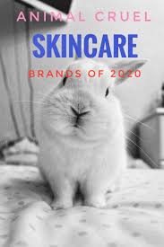 Pin On Brands That Test On Animals 2020