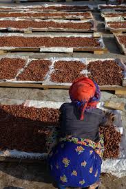 Epingle Sur Fete Du Cacao Le 1er Octobre