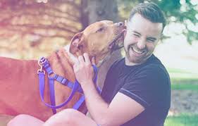 Archer road pet resorts is happy to be able to offer bathing & grooming for your pet. Dogs Puppies Humane Society Of North Central Florida