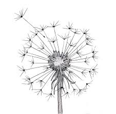 Different types of flowers to color. Simple Flower Garden Flower Drawing Easy For Kids