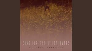 5 out of 5 stars. Consider The Wildflowers Allyson Arendsee Shazam